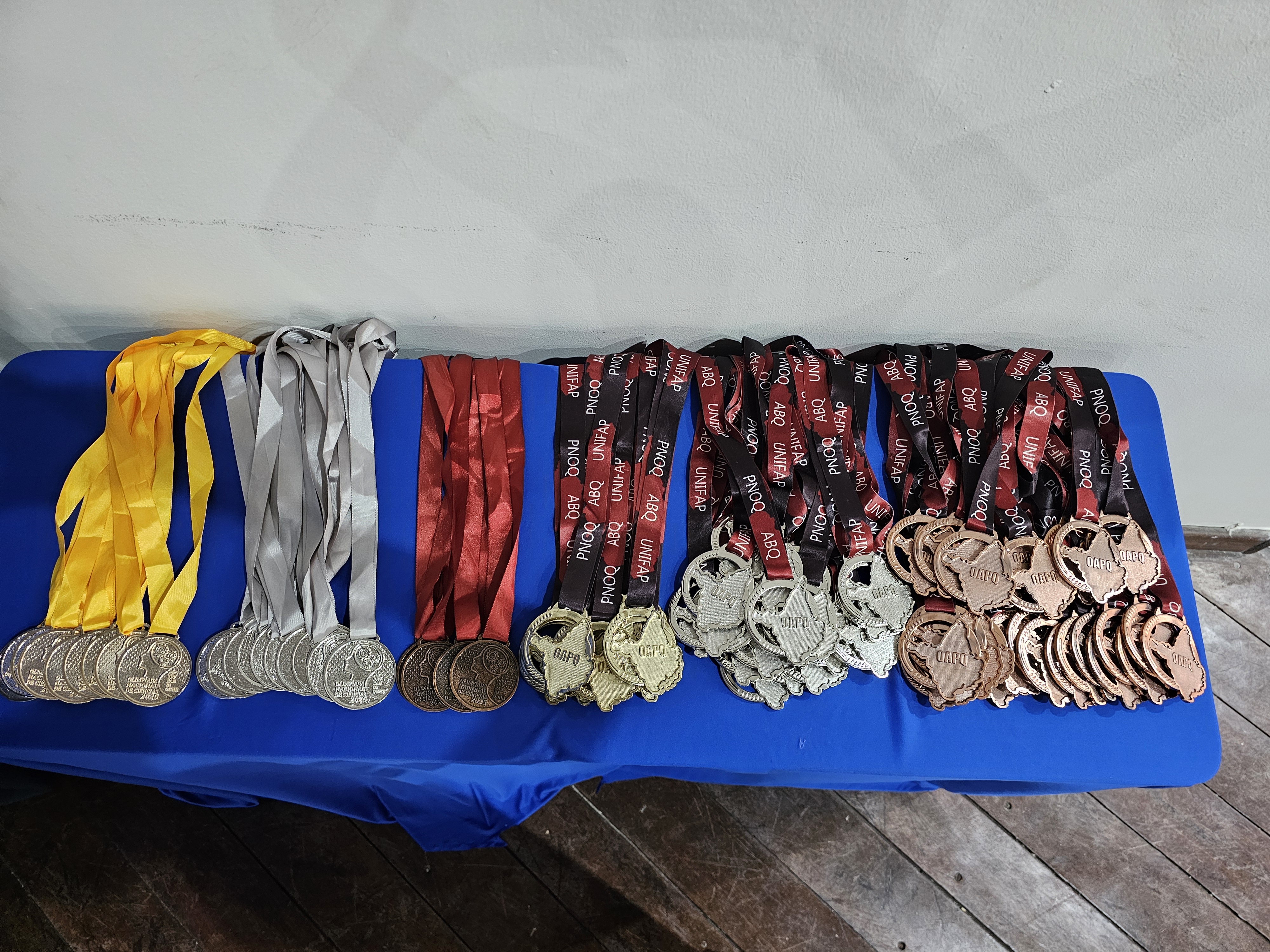 SOLENIDADE DE ENTREGA DE MEDALHAS - OAPQ 2025